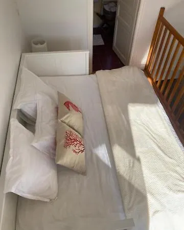 Ferienhaus L Hippocampe Petite Maison Cosie Avec Cour Interieure A 200 Metres De La Normandie *